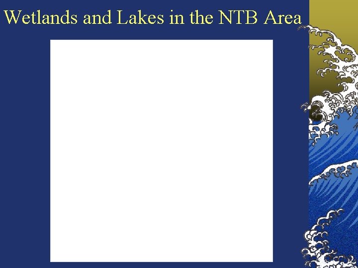 Wetlands and Lakes in the NTB Area 