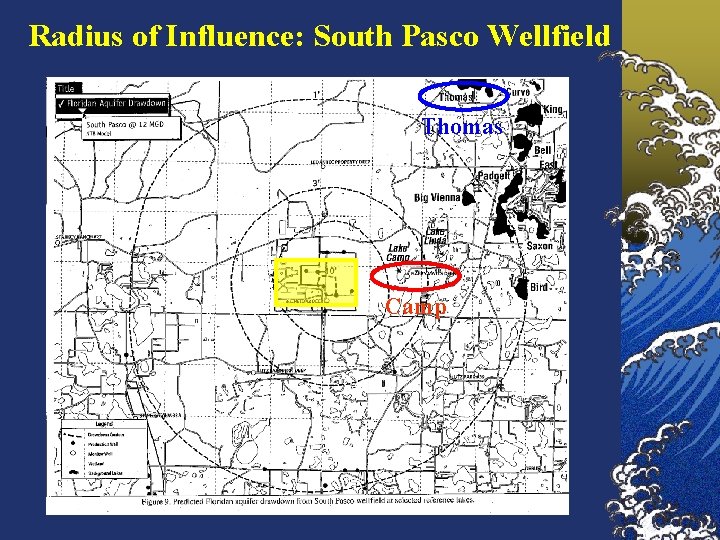 Radius of Influence: South Pasco Wellfield Thomas Camp 