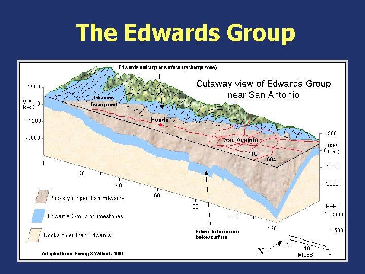 The Edwards Group The Edwards Group