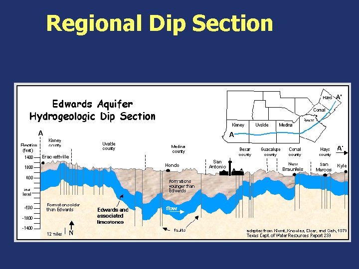 Regional Dip Section 