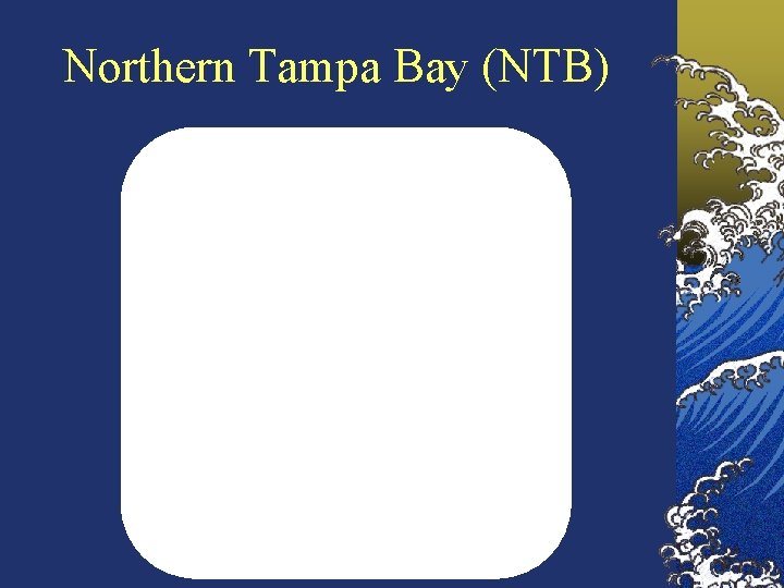 Northern Tampa Bay (NTB) 