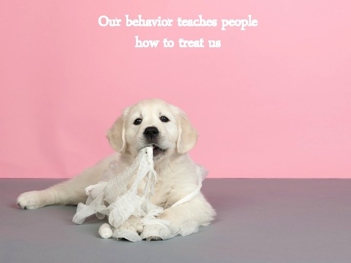 Our behavior teaches people how to treat us 