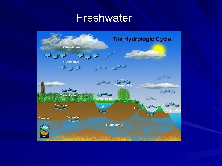 Freshwater 