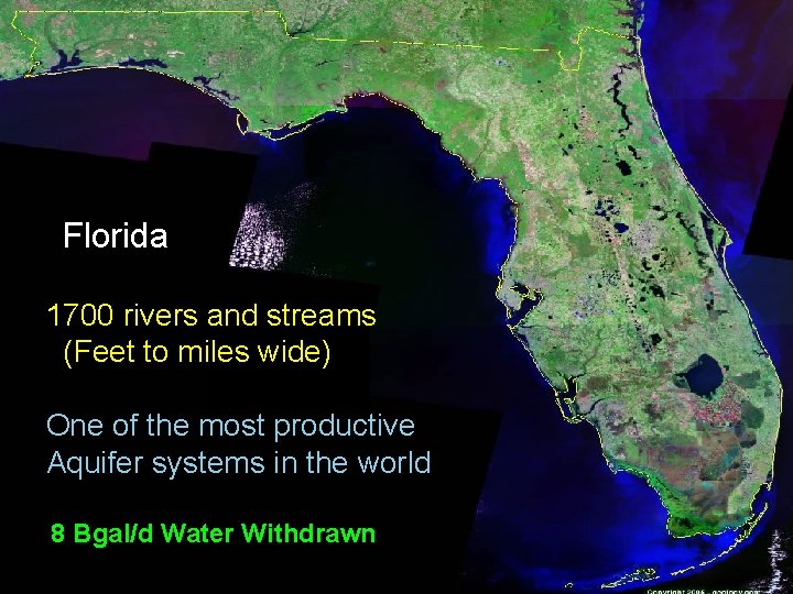 Florida 1700 rivers and streams (Feet to miles wide) One of the most productive