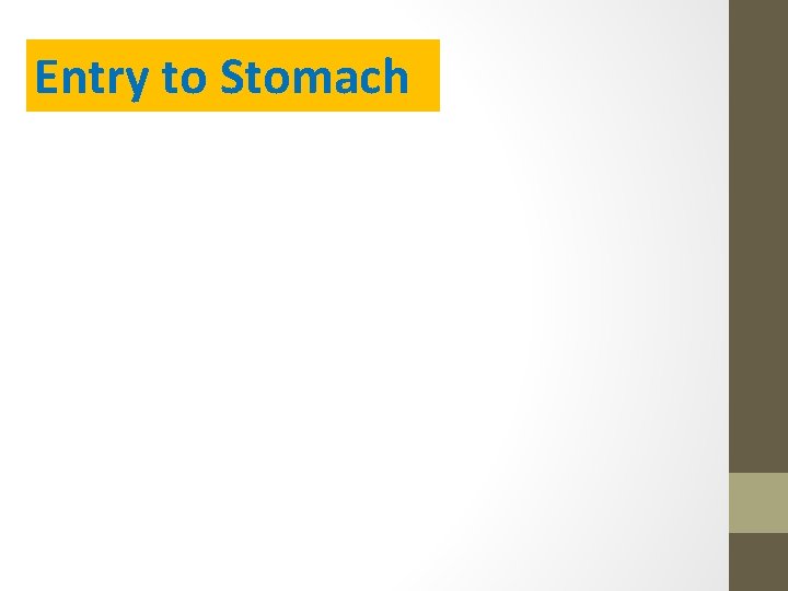 Entry to Stomach 
