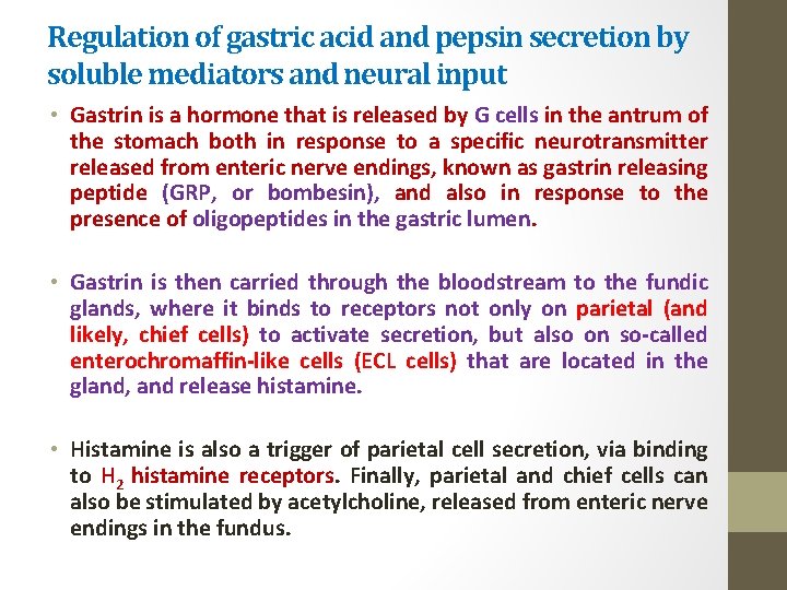 Regulation of gastric acid and pepsin secretion by soluble mediators and neural input •