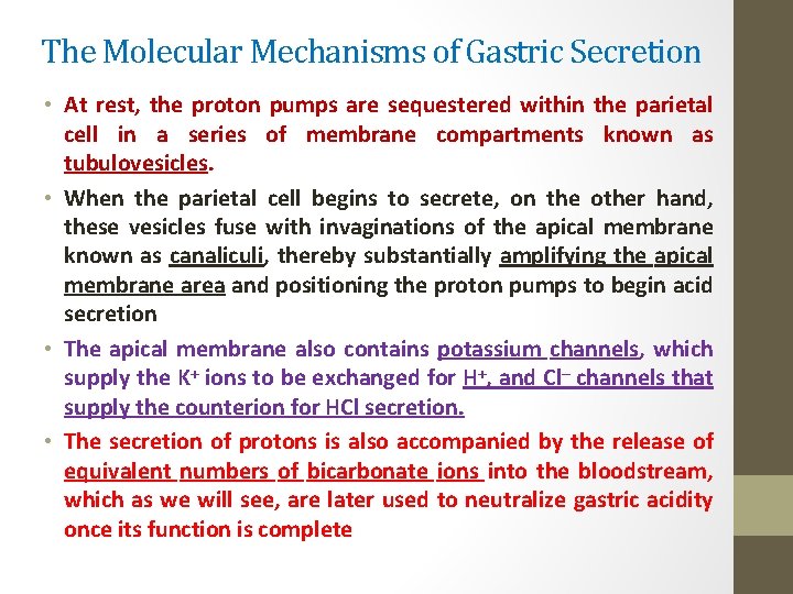 The Molecular Mechanisms of Gastric Secretion • At rest, the proton pumps are sequestered