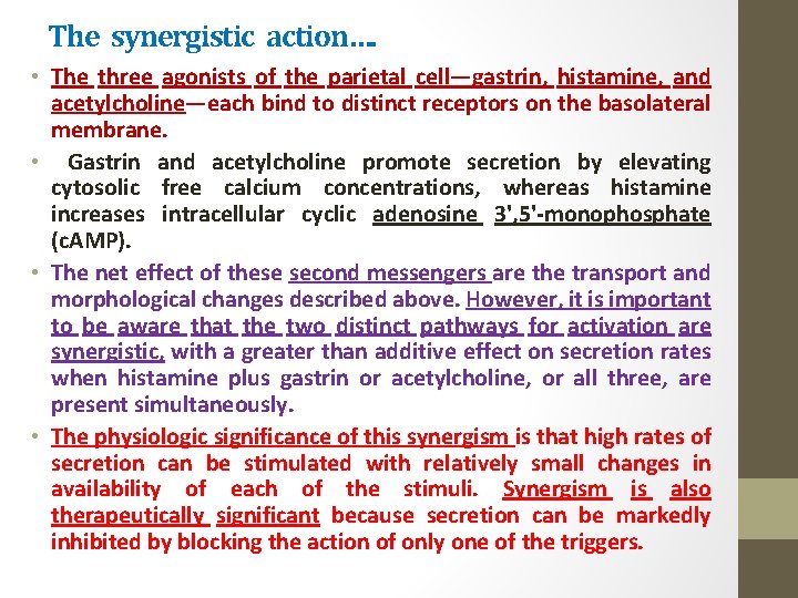 The synergistic action…. • The three agonists of the parietal cell—gastrin, histamine, and acetylcholine—each