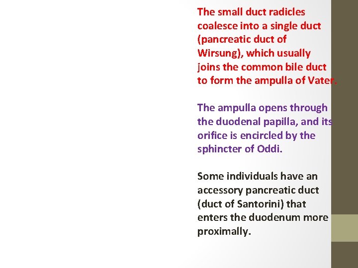 The small duct radicles coalesce into a single duct (pancreatic duct of Wirsung), which