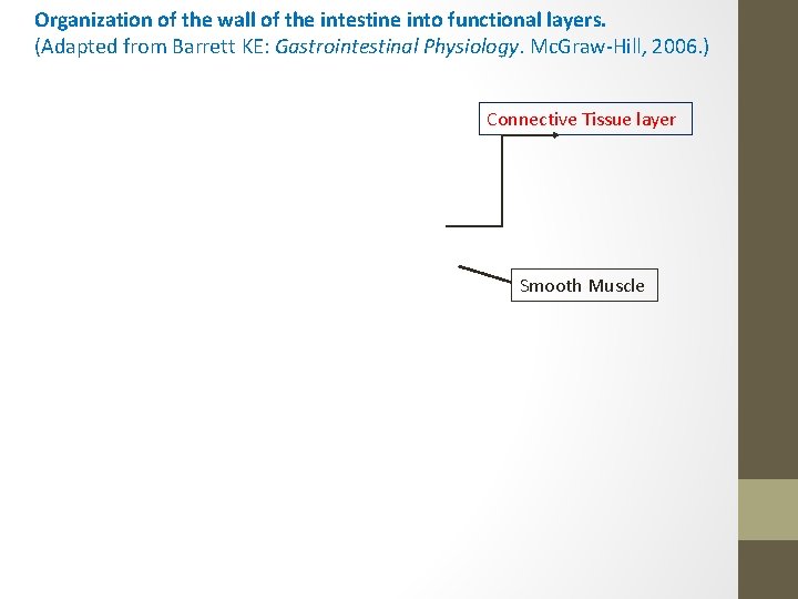 Organization of the wall of the intestine into functional layers. (Adapted from Barrett KE: