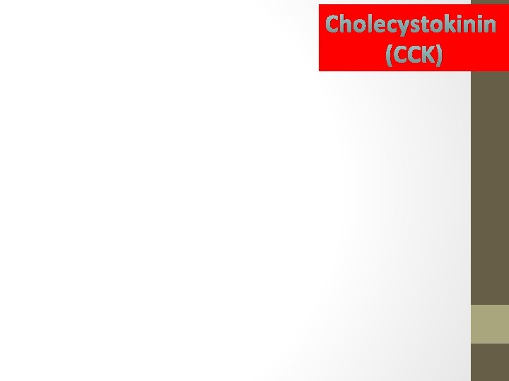 Cholecystokinin (CCK) 