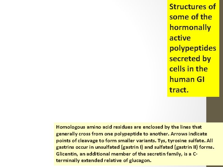 Structures of some of the hormonally active polypeptides secreted by cells in the human