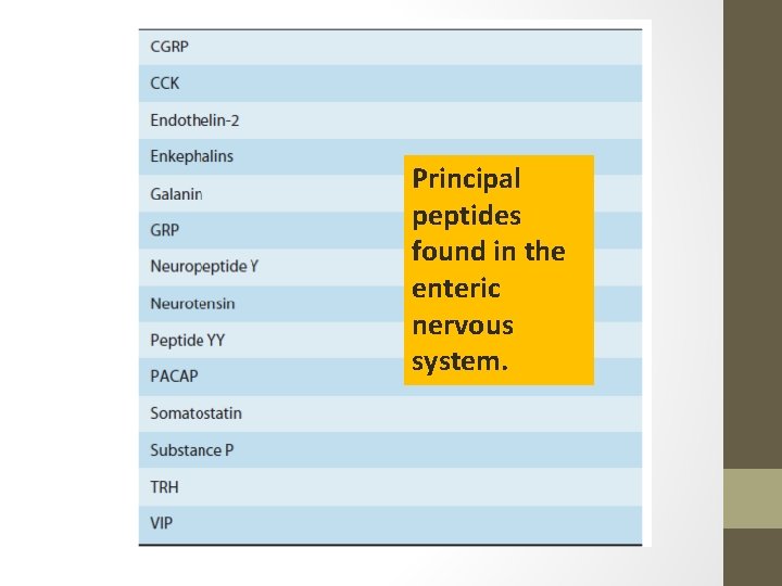 Principal peptides found in the enteric nervous system. 