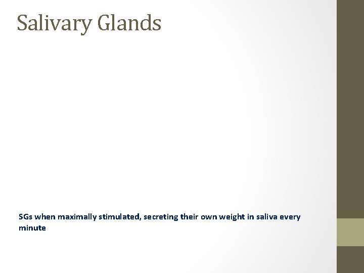 Salivary Glands SGs when maximally stimulated, secreting their own weight in saliva every minute