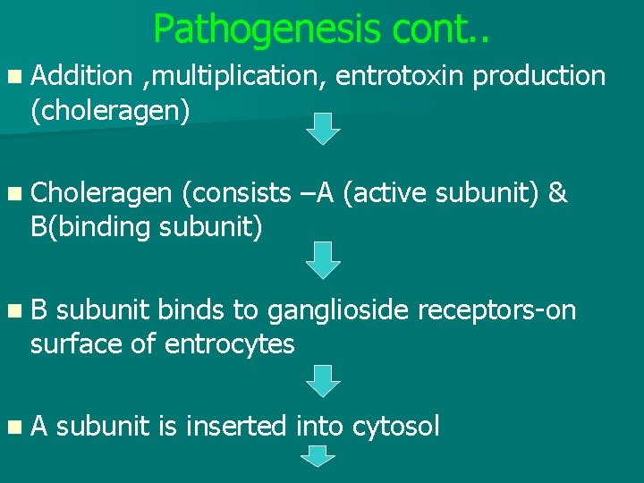 Pathogenesis cont. . n Addition , multiplication, entrotoxin production (choleragen) n Choleragen (consists –A