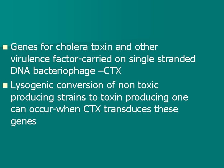 n Genes for cholera toxin and other virulence factor-carried on single stranded DNA bacteriophage