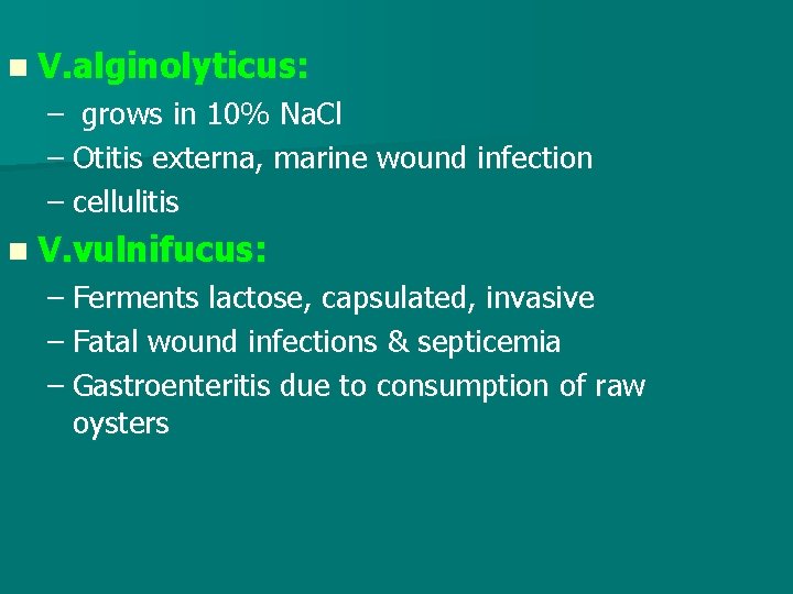 n V. alginolyticus: – grows in 10% Na. Cl – Otitis externa, marine wound