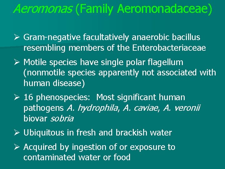 Aeromonas (Family Aeromonadaceae) Ø Gram-negative facultatively anaerobic bacillus resembling members of the Enterobacteriaceae Ø