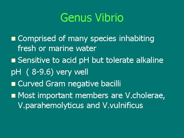 Genus Vibrio n Comprised of many species inhabiting fresh or marine water n Sensitive