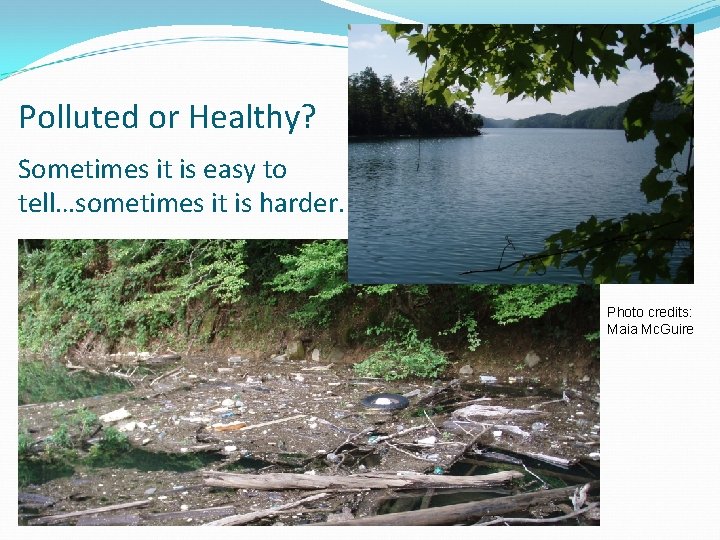 Polluted or Healthy? Sometimes it is easy to tell…sometimes it is harder. Photo credits: