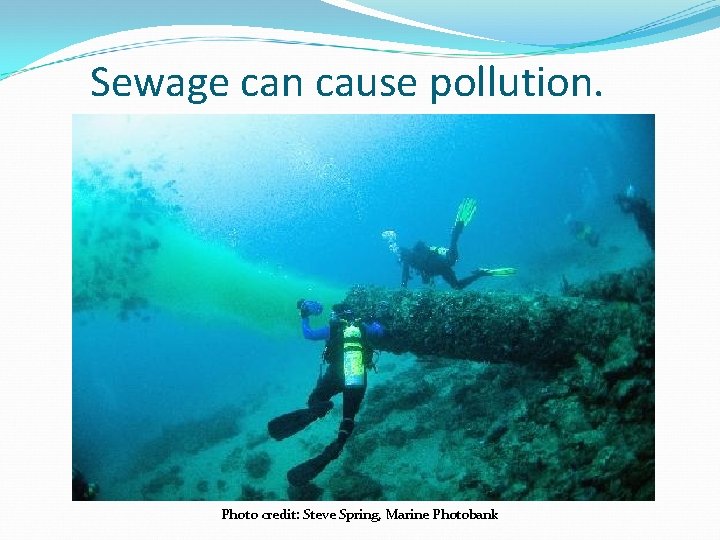 Sewage can cause pollution. Photo credit: Steve Spring, Marine Photobank 