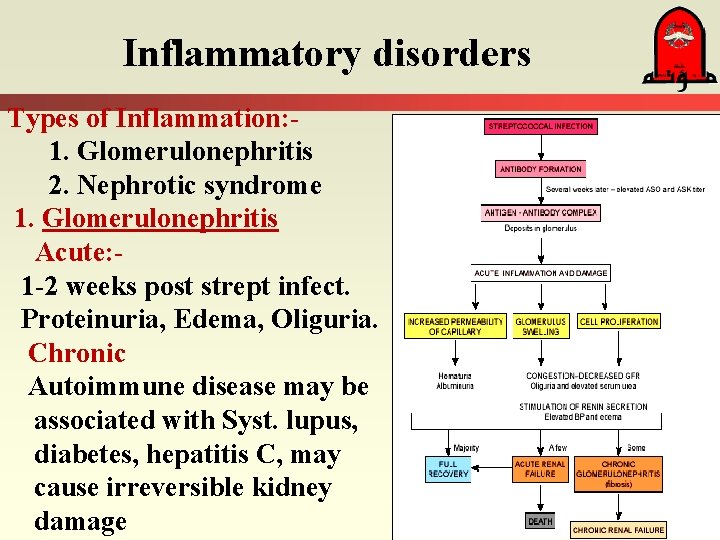 Inflammatory disorders Types of Inflammation: 1. Glomerulonephritis 2. Nephrotic syndrome 1. Glomerulonephritis Acute: 1