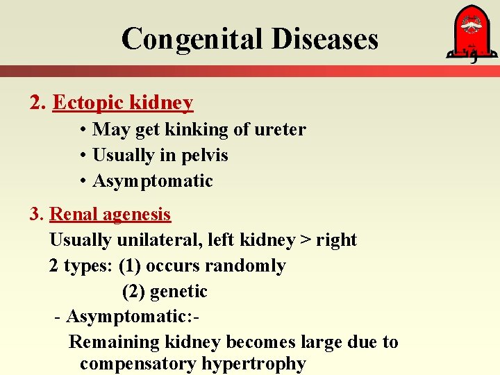 Congenital Diseases 2. Ectopic kidney • May get kinking of ureter • Usually in