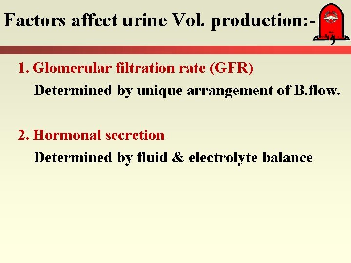 Factors affect urine Vol. production: 1. Glomerular filtration rate (GFR) Determined by unique arrangement