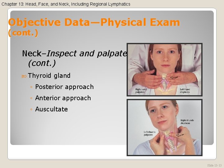 Chapter 13: Head, Face, and Neck, Including Regional Lymphatics Objective Data—Physical Exam (cont. )