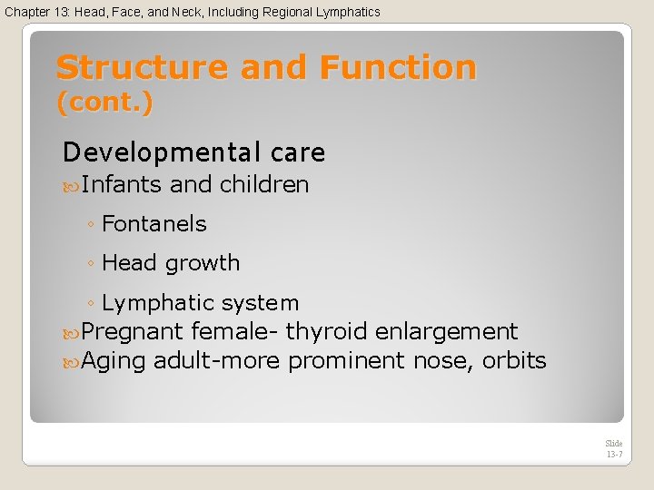 Chapter 13: Head, Face, and Neck, Including Regional Lymphatics Structure and Function (cont. )