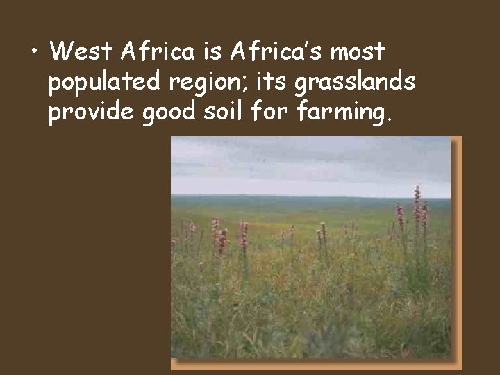 • West Africa is Africa’s most populated region; its grasslands provide good soil • West Africa is Africa’s most populated region; its grasslands provide good soil