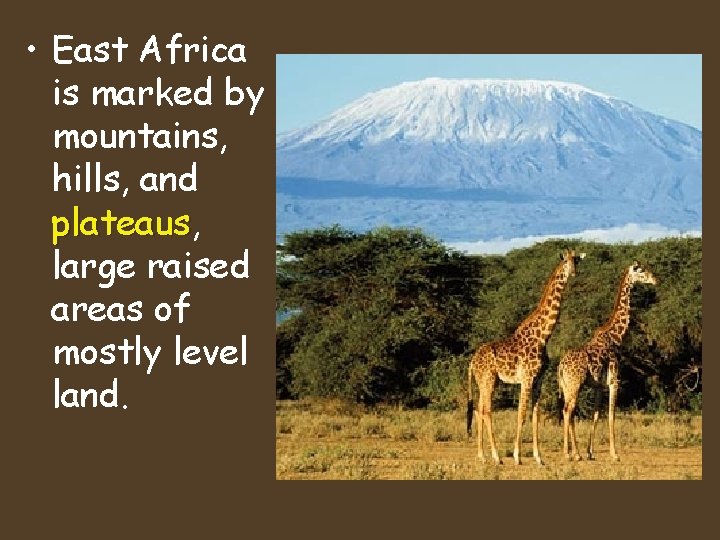  • East Africa is marked by mountains, hills, and plateaus, plateaus large raised