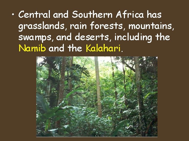 • Central and Southern Africa has grasslands, rain forests, mountains, swamps, and deserts, • Central and Southern Africa has grasslands, rain forests, mountains, swamps, and deserts,