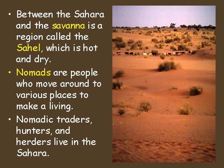 • Between the Sahara and the savanna is a region called the Sahel, • Between the Sahara and the savanna is a region called the Sahel,