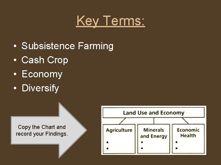 Key Terms: • • Subsistence Farming Cash Crop Economy Diversify Copy the Chart and