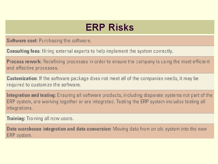 ERP Risks 