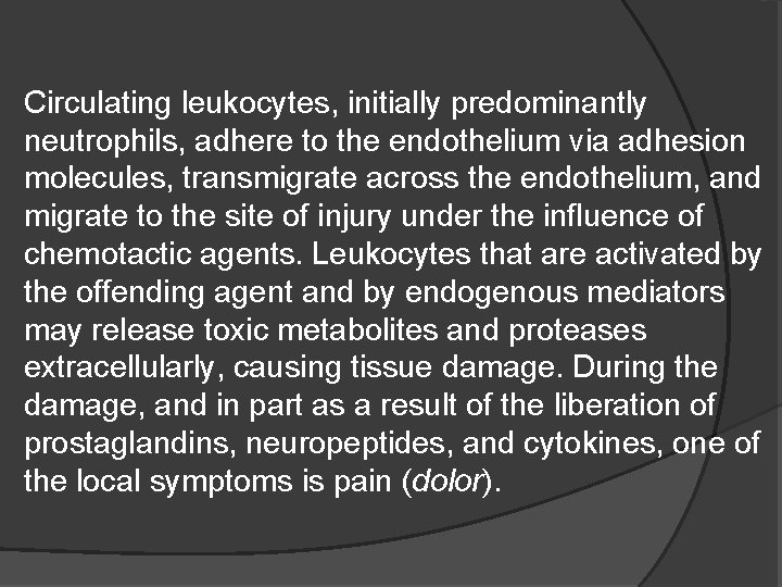 Circulating leukocytes, initially predominantly neutrophils, adhere to the endothelium via adhesion molecules, transmigrate across