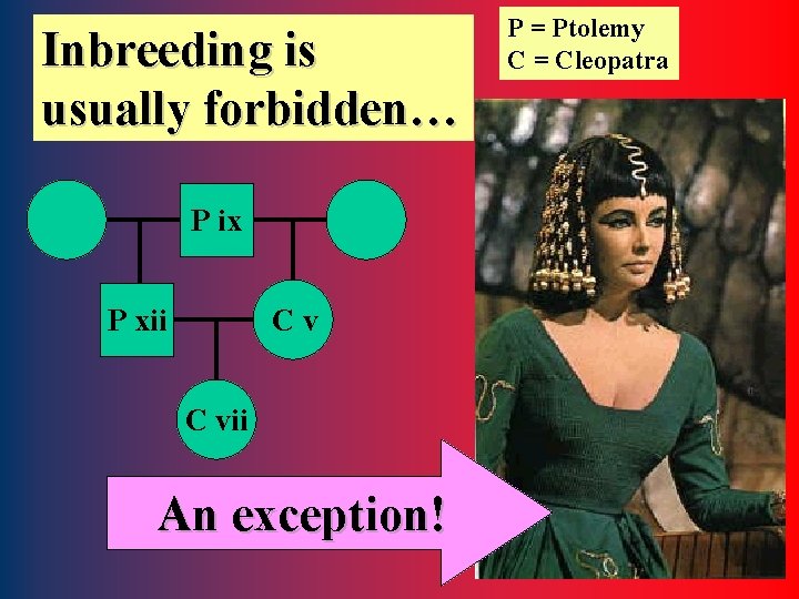 Inbreeding is usually forbidden… P = Ptolemy C = Cleopatra P ix Cv P