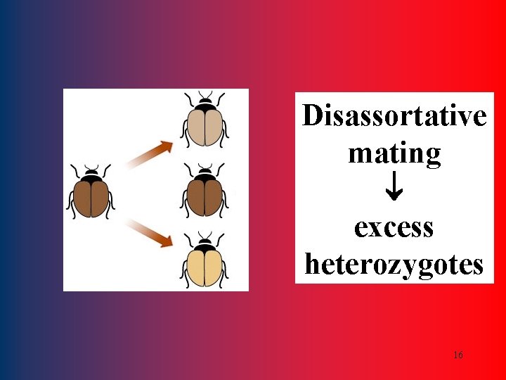 Disassortative mating excess heterozygotes 16 