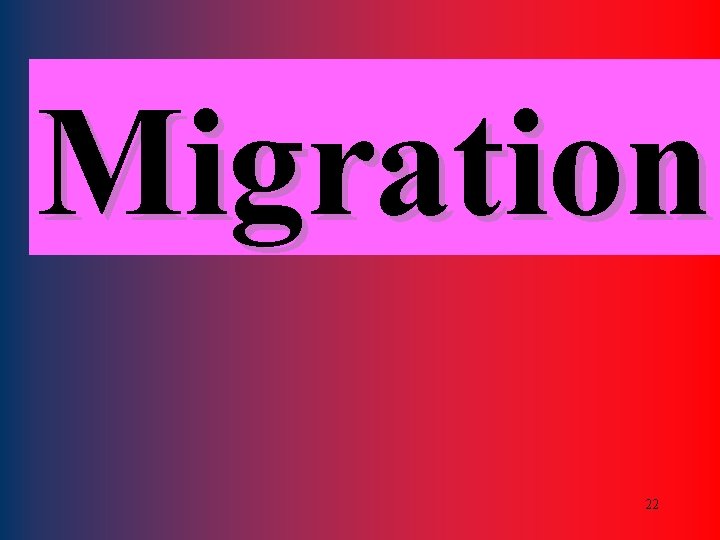 Migration 22 