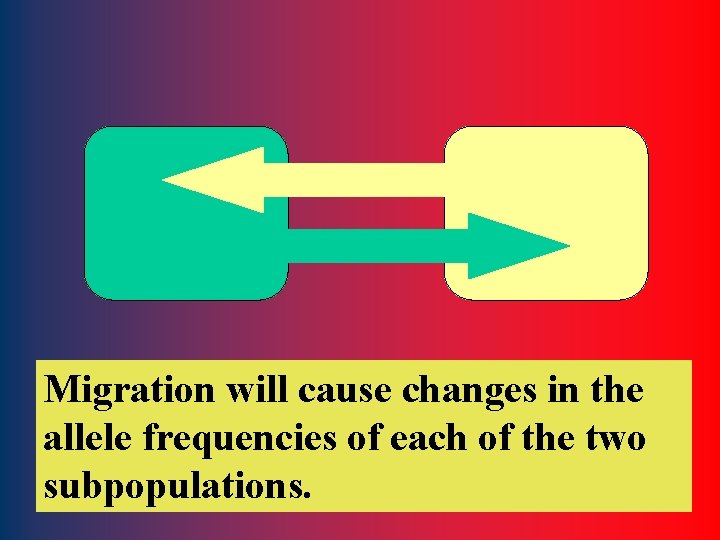 Migration will cause changes in the allele frequencies of each of the two subpopulations.