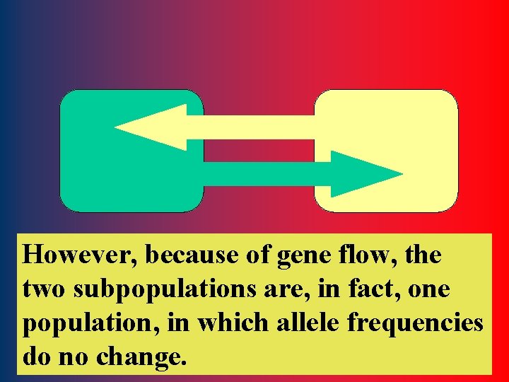 However, because of gene flow, the two subpopulations are, in fact, one population, in