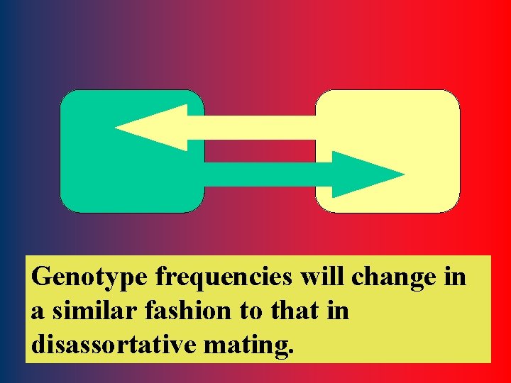 Genotype frequencies will change in a similar fashion to that in disassortative mating. 26