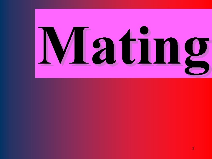 Mating 3 