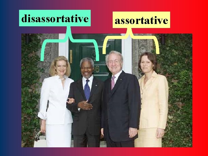 disassortative 6 