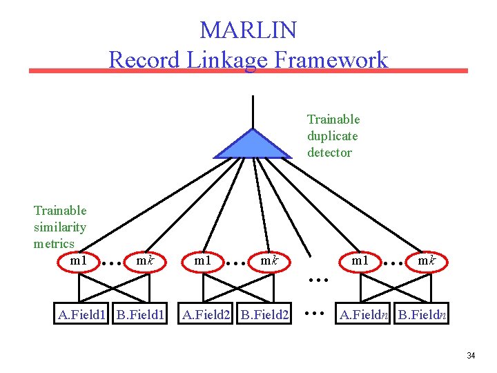 MARLIN Record Linkage Framework Trainable duplicate detector Trainable similarity metrics m 1 … mk