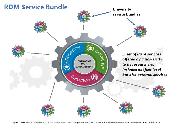 RDM Service Bundle University service bundles … set of RDM services offered by a