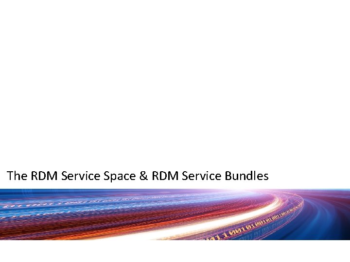 The RDM Service Space & RDM Service Bundles 