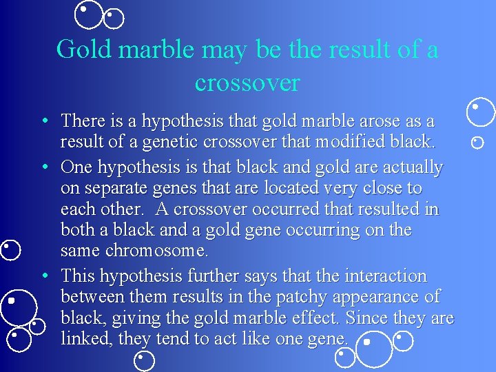 Gold marble may be the result of a crossover • There is a hypothesis Gold marble may be the result of a crossover • There is a hypothesis