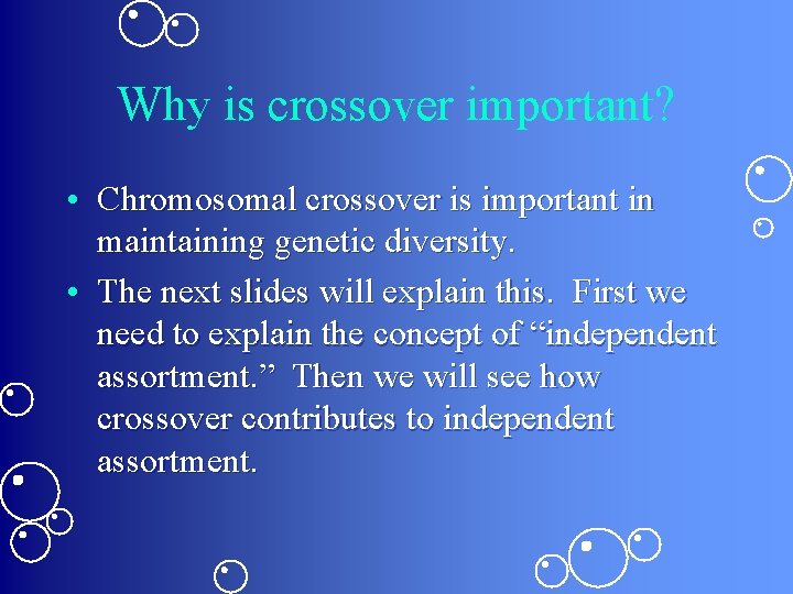 Why is crossover important? • Chromosomal crossover is important in maintaining genetic diversity. • Why is crossover important? • Chromosomal crossover is important in maintaining genetic diversity. •
